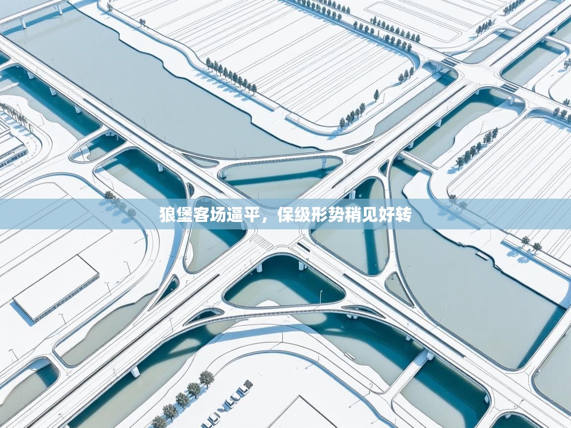 狼堡客场逼平,保级形势稍见好转 第1张