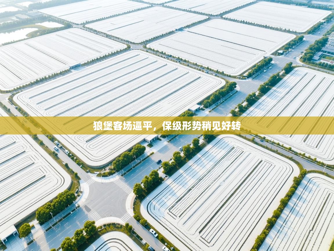 狼堡客场逼平,保级形势稍见好转 第2张